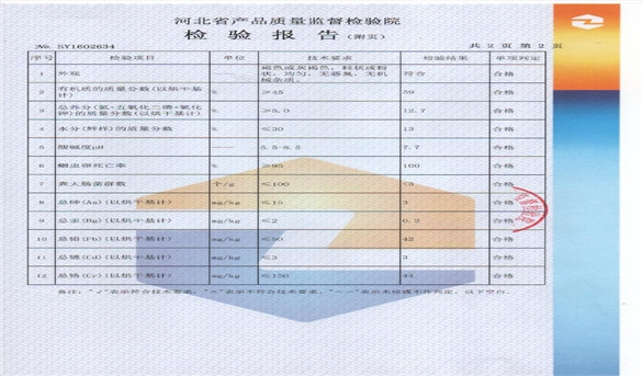 產(chǎn)品檢測報告-1